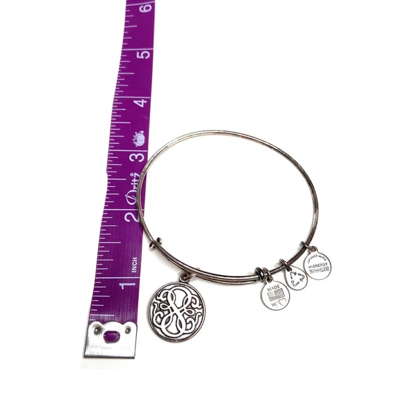 ALEX and ANI 2014 Silver Tone (+)Energy Bracelet - Picture 3 of 4